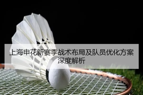 上海申花新赛季战术布局及队员优化方案深度解析